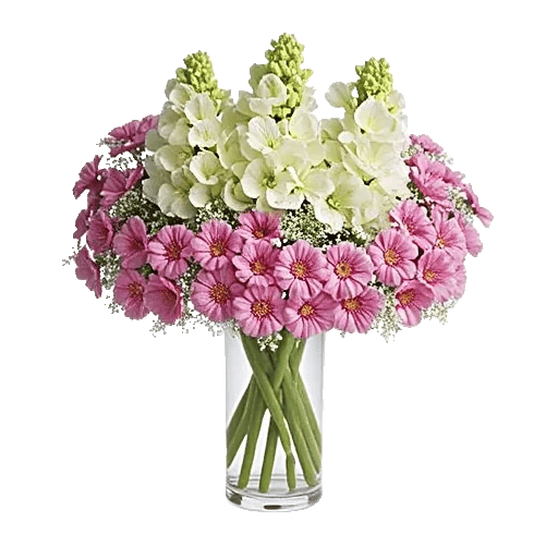 Ivory Blossom Radiance
