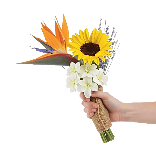 Tropical Sunflower Burst