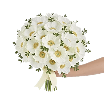 Minimalist White Orchids