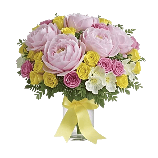 Petal Radiance Bliss