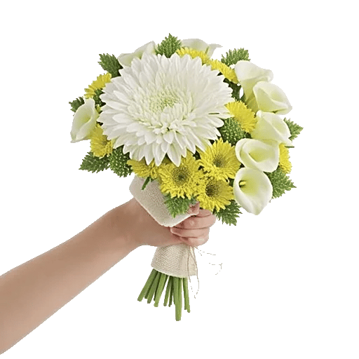 Ivory Garden Grace
