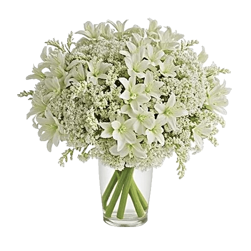 Graceful Lily Display