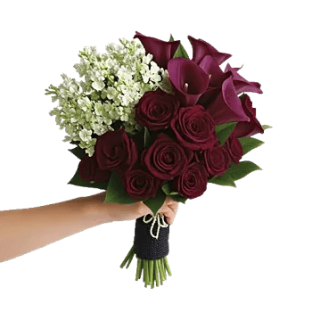 Elegant Calla Lilies