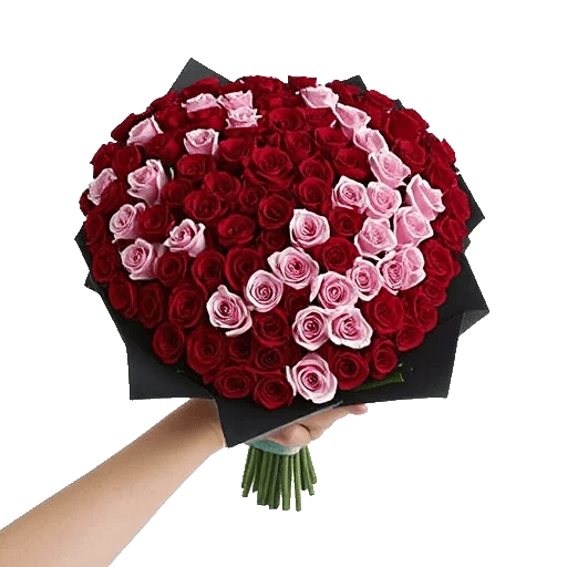 Blushing Rose Symphony