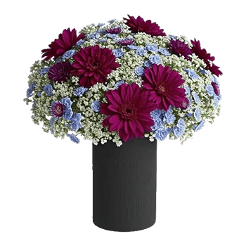 Ivory Blossom Radiance