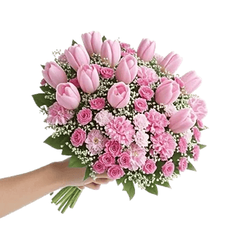 Pastel Pink Roses