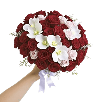Crimson Rose Elegance