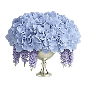 Sapphire Bloom Whisper