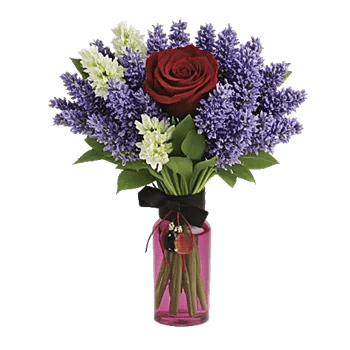 Rosemary Bloom Elegance