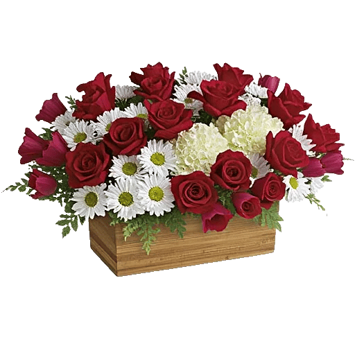 Crimson Blossom Harmony