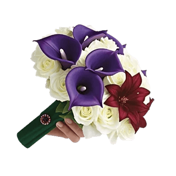 Elegant Calla Lilies