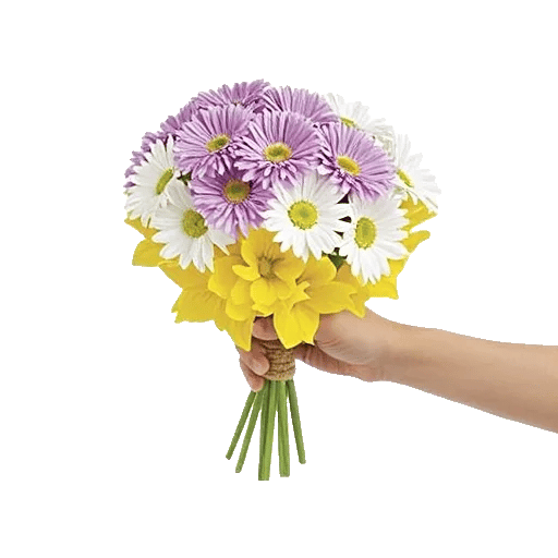 Blossom Harmony Display