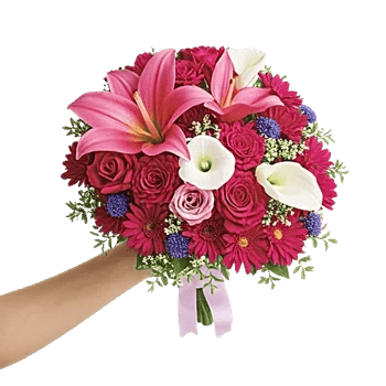 Blushing Rose Symphony