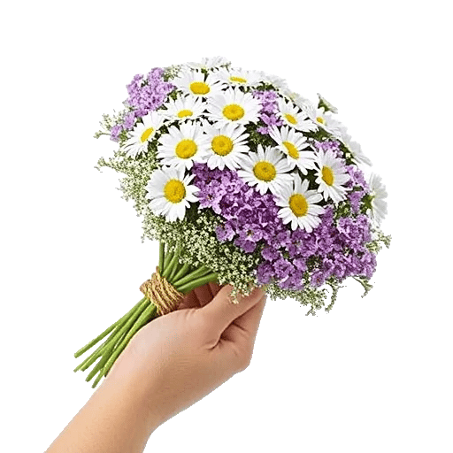 Enchanting Daisy Garden