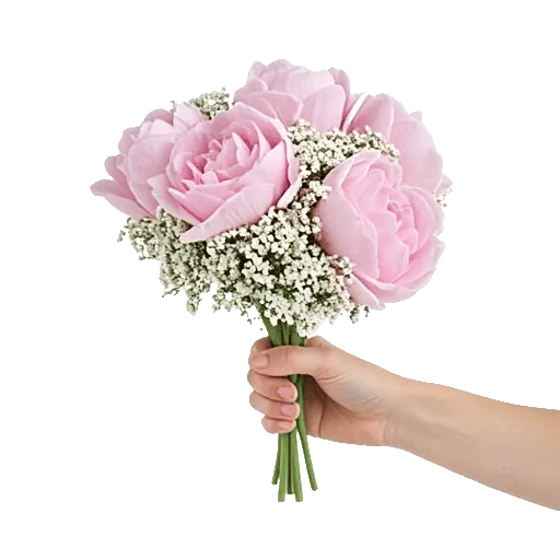 Peony Petal Harmony