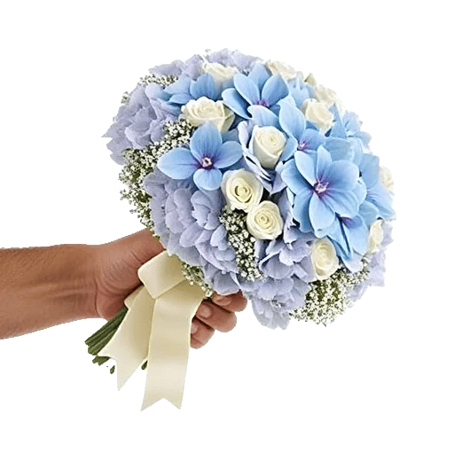 Serene Petal Harmony