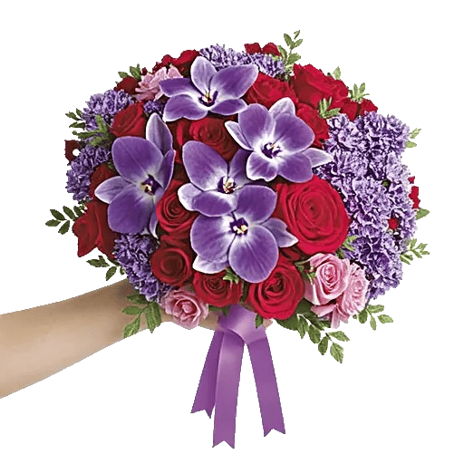 Orchid Bloom Cascade