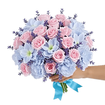 Serene Petal Harmony