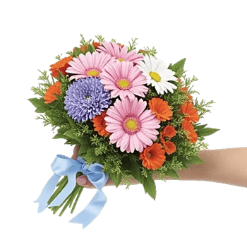 Coral Blossom Harmony