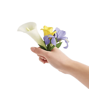 Elegant Calla Lilies