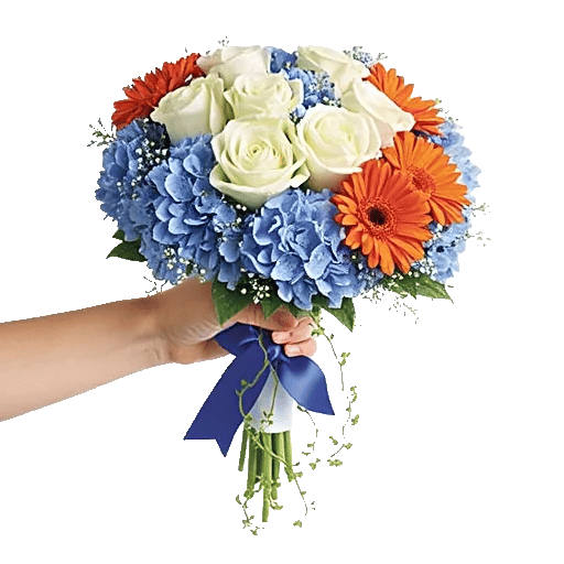 Serene Petal Harmony