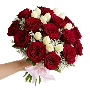 Crimson Rose Elegance