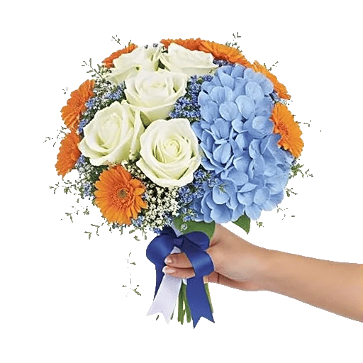 Serene Petal Harmony