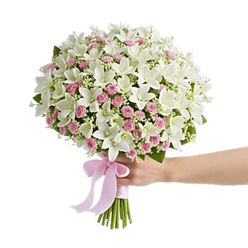 Ivory Garden Grace