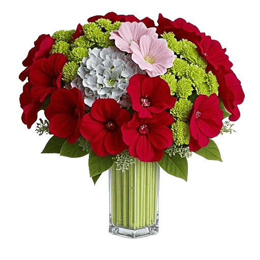 Crimson Blossom Harmony