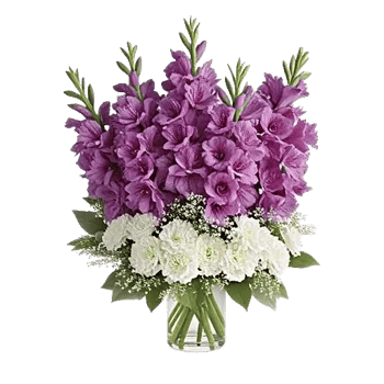 Lavender Bloom Grace