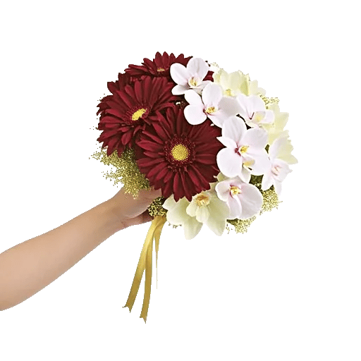 Radiant Bloom Cascade