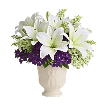 Ivory Blossom Radiance