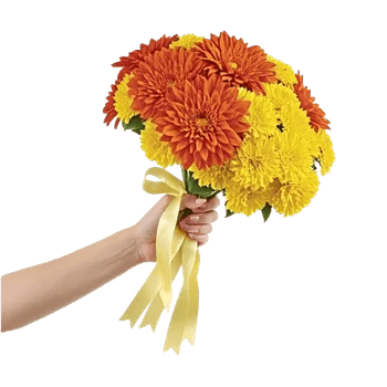 Radiant Bloom Cascade