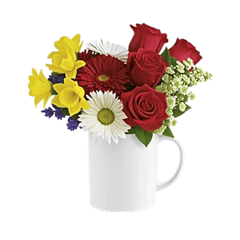 Velvet Tulip Display