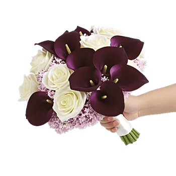 Elegant Calla Lilies