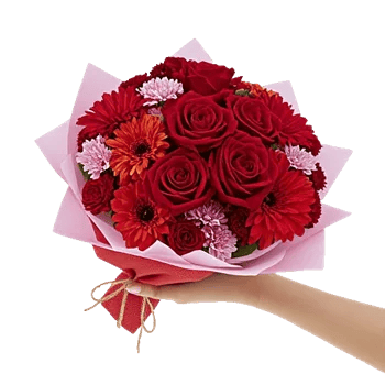Crimson Rose Elegance