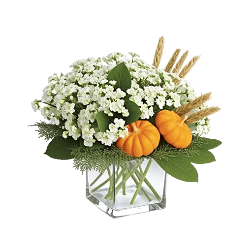 Frosted Lily Spread