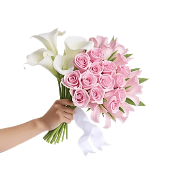 Elegant Calla Lilies