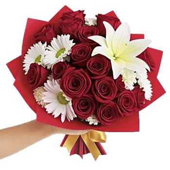 Crimson Rose Elegance