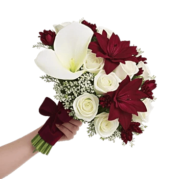 Elegant Calla Lilies