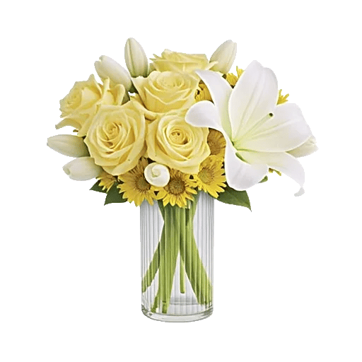Ivory Blossom Radiance
