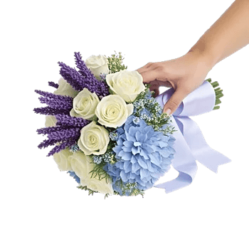 Serene Petal Harmony