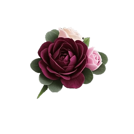 Delicate Petal Cascade