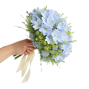 Delicate Petal Cascade