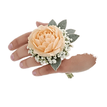 Serene Petal Harmony