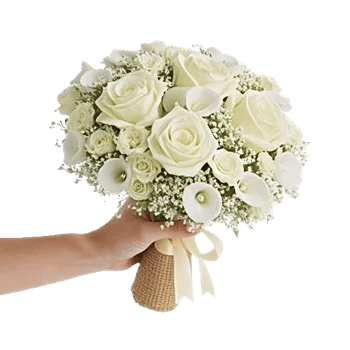 Ivory Garden Grace