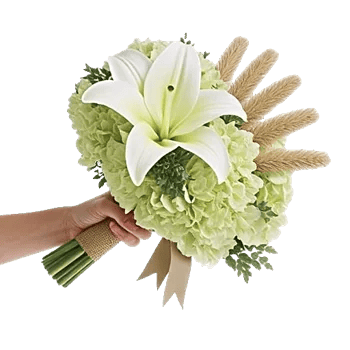 Ivory Garden Grace