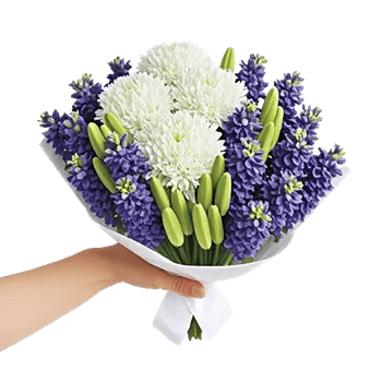 Modern White Orchids