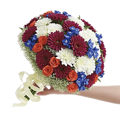 Blushing Rose Symphony