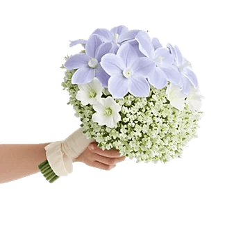 Orchid Bloom Cascade